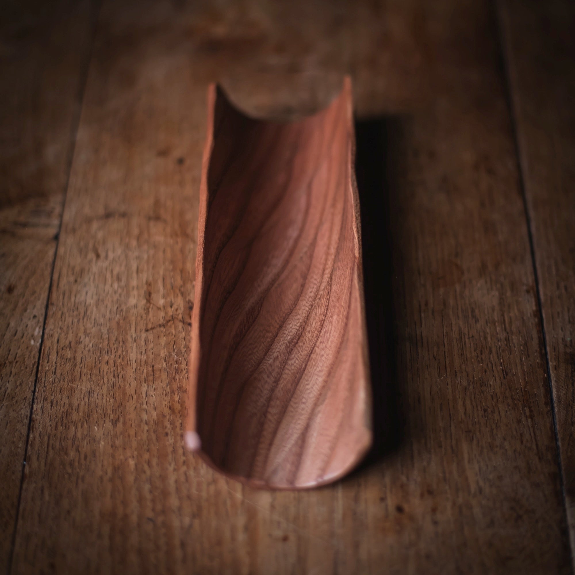Large Elm Scoop #613