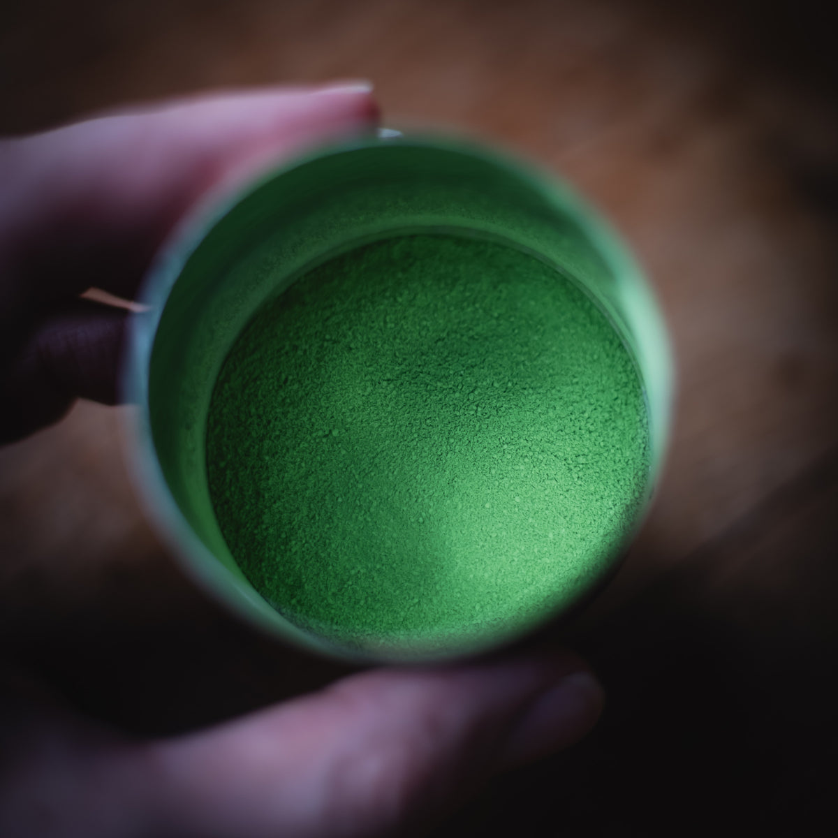 Asahi Matcha, powder in the caddy, held in hand