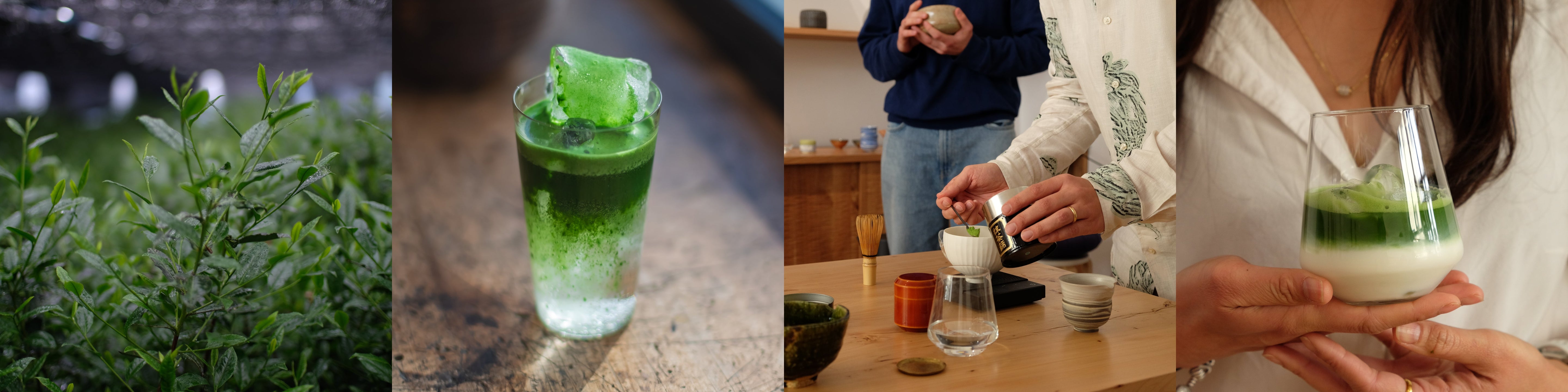 Matcha Guide: Unlocking Flavor, Tradition, and Personal Ritual