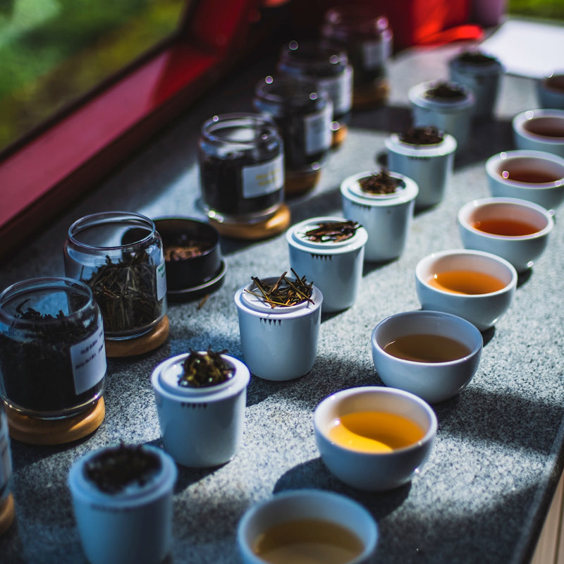 Journey of Tea