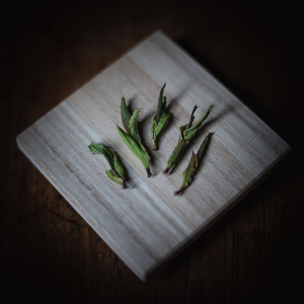 Da Xue Shan White Tea Tasting