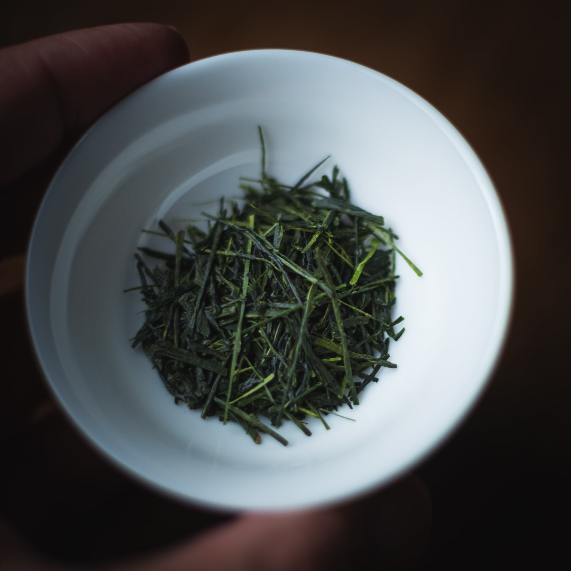 Koshun Sencha — leaf detail in a white cup held in hand