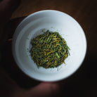 Hakusei white-leaf Sencha — leaf detail in a white cup held in hand