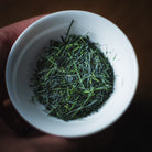 Hon Gyokuro Kirari31 — leaf detail in a white cup held in hand