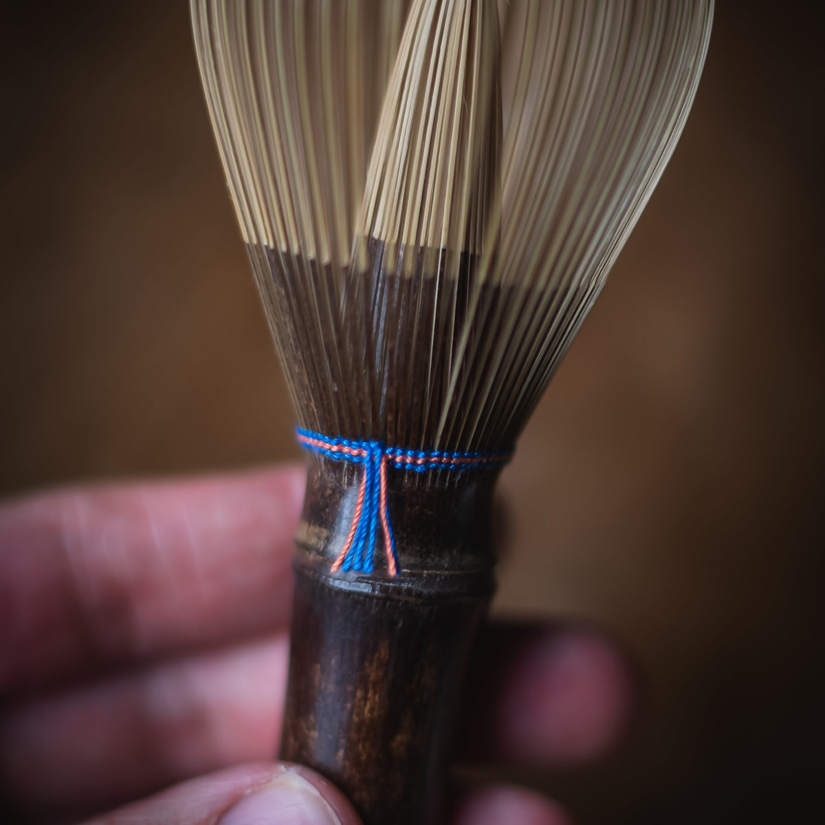 A close-up of a hand holding a traditional Japanese bamboo whisk, showing the dark brown bamboo handle and the fine tan bristles tied with a blue and orange cord.
