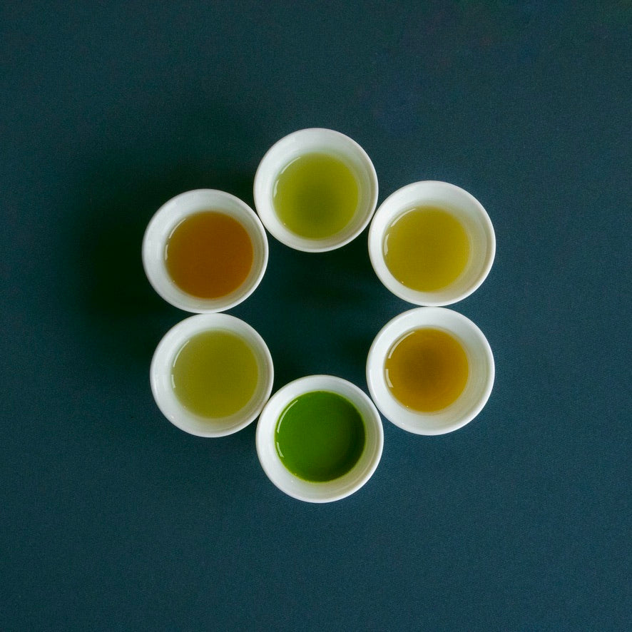Gyokuro-Verkostung mit Aika Matsuda