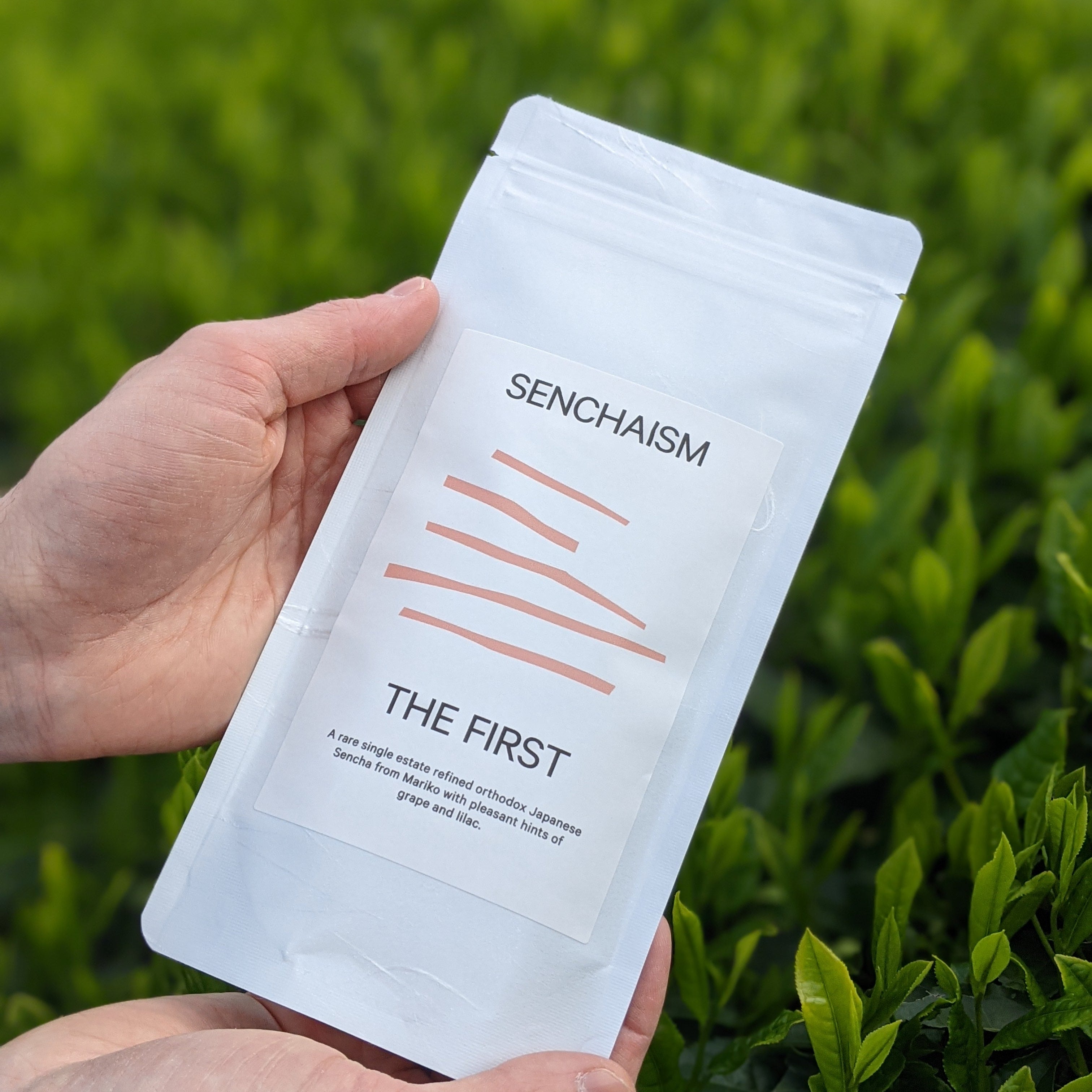 THE FIRST Kondōwase Sencha – UNEARTHED gallery