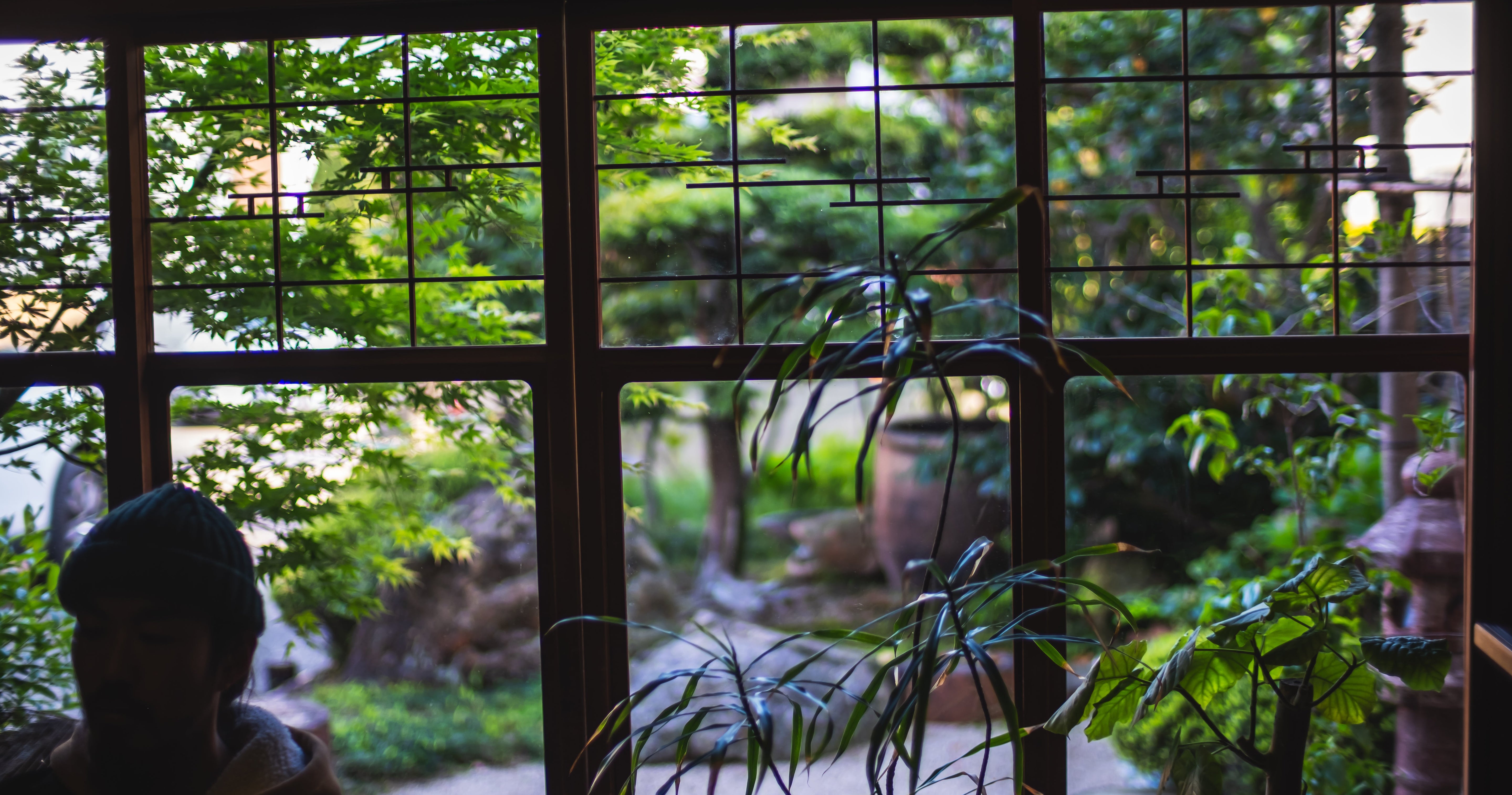 View of Seiji Ito's garden, seen from his tea room.