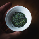A cup of Hoshino Hon Gyokuro Zairai dry leaf held in the hand
