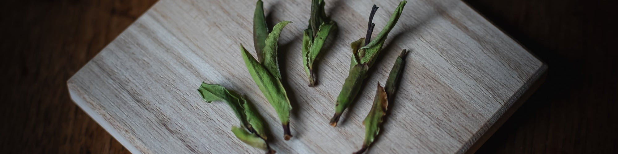 Akira Hojo — DaXueShan wild white tea buds
