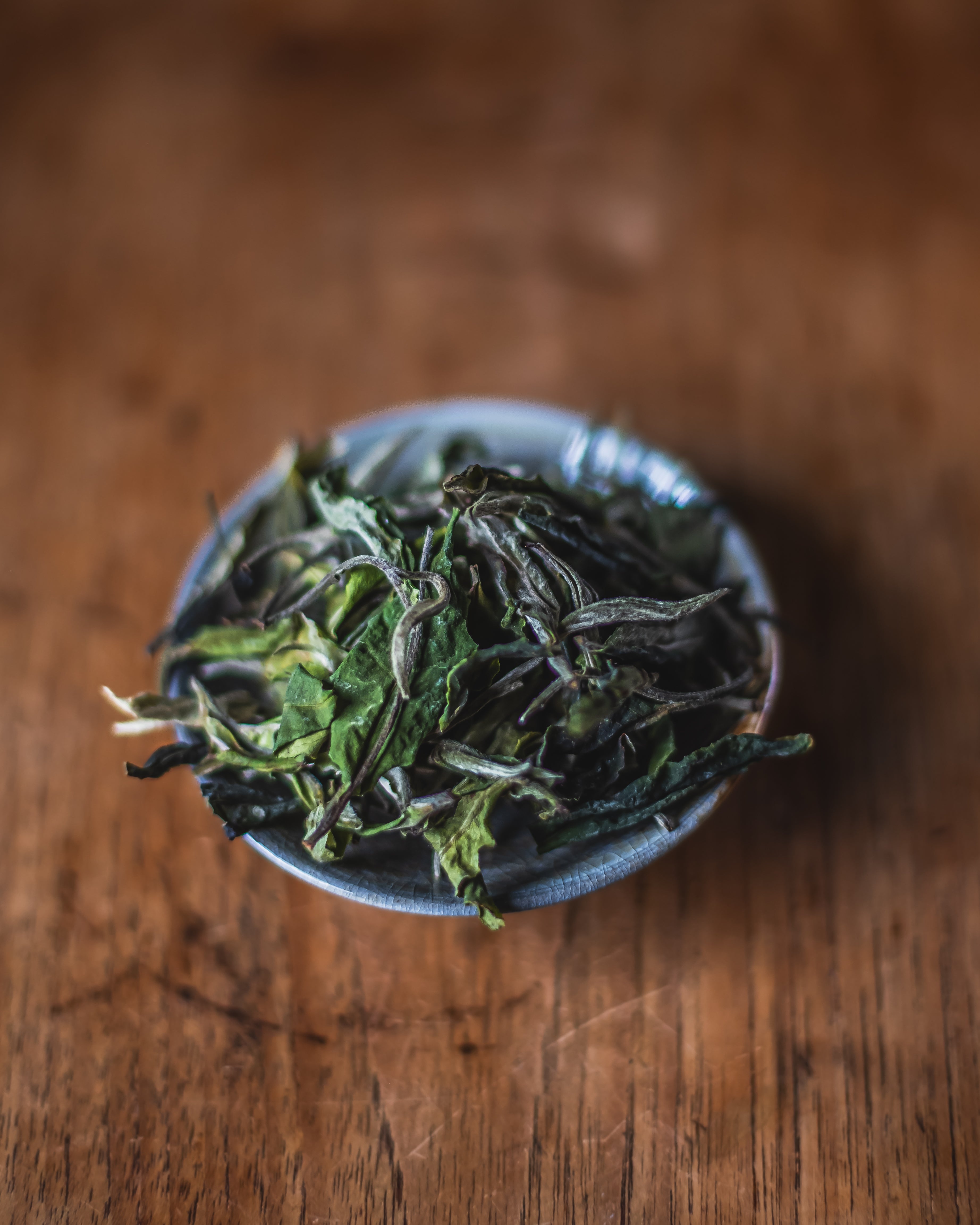 Akira Hojo — Yunnan white tea