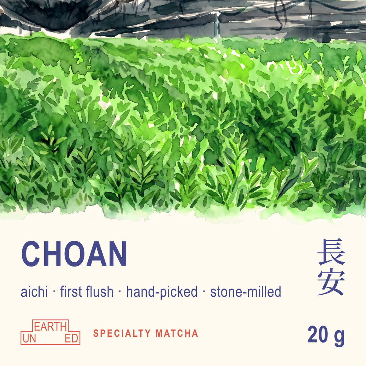 Choan Matcha from Aichi, front label of the pouch